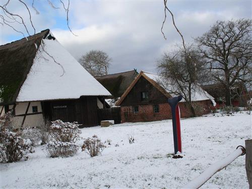 Ferielejlighed - 2 personer -  - Hans- Kinder- Weg - 18347 - Ahrenshoop