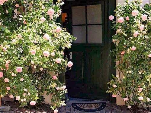 Ferienwohnung - 2 Personen -  - Kirchstr. - 54647 - Dudeldorf