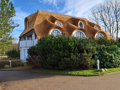 Ferielejlighed - 4 personer -  - Störtebeker Str. - 18374 - Ostseeheilbad Zingst