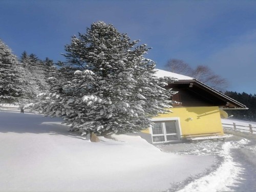 Sommerhus - 6 personer -  - 9461 - Prebl
