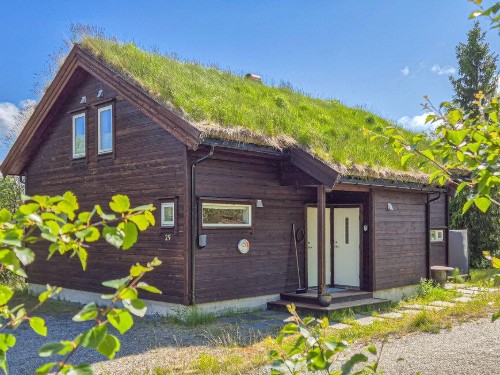 Holiday home - 8 persons -  - Vågslidvegen - Haukelifjell - 3895 - Edland