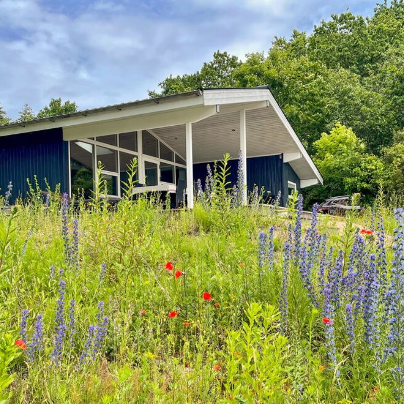 Ferienhaus - 6 Personen -  - Skovsangervej - Fuglsö - 8420 - Knebel