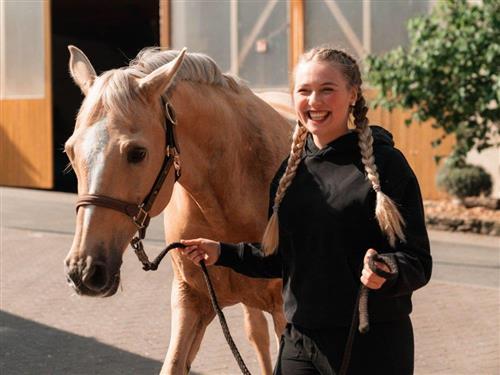 Semesterhus/Semesterlägenhet - 1 person -  - Reckerstal - 97999 - Igersheim -  Reckerstal