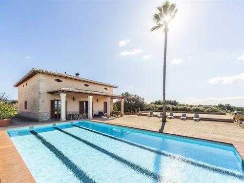 Holiday home - 16 persons -  - 07199 - San Jordi