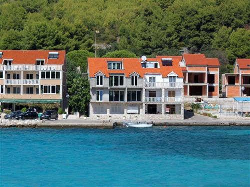 Holiday apartment - 4 persons -  - Prižba - 20271 - Blato