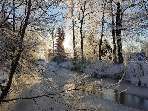 Ferielejlighed - 3 personer -  - Kaupen Nr. - 03096 - Burg (Spreewald)