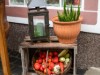 Bild 19