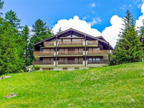 Sommerhus - 4 personer -  - Zermatt - 3920