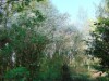 Bilde 39