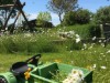 Bild 14