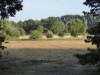 Billede 4