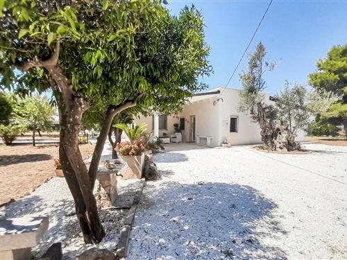 Feriehus / leilighet - 5 personer -  - Strada Provinciale - Lecce - 72027 - San Pietro Vernotico