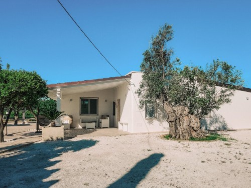Feriehus - 5 personer -  - Strada Provinciale - Lecce - 72027 - San Pietro Vernotico