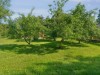 Billede 16 - Grund