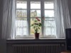 Billede 40