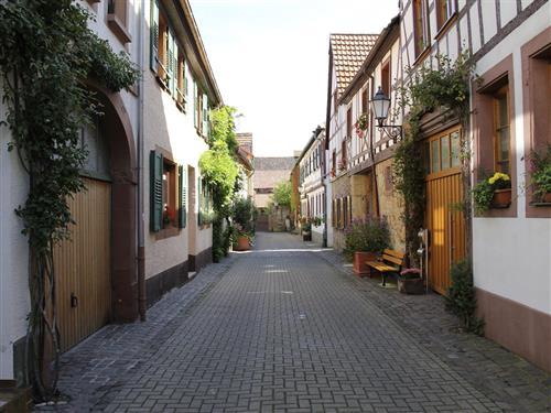 Ferielejlighed - 3 personer -  - Neugasse - 76887 - Bad Bergzabern