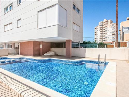 Holiday Home/Apartment - 5 persons -  - Matilde Peñaranda - Torrevieja, Alicante - 03183 - Torrevieja