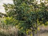 Image 29 - Outside