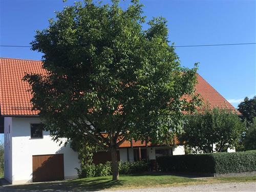 Ferienhaus - 6 Personen -  - Schäfergasse - 88459 - Tannheim (Württemberg)