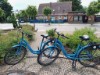 Bild 100