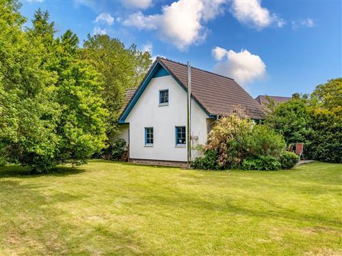 Holiday home - 8 persons -  - Dorfstraße - 18317 - Saal / Hessenburg