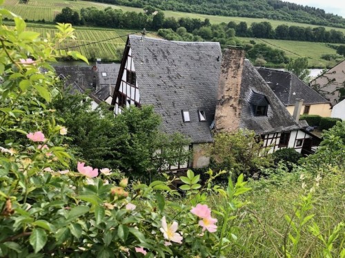 Feriehus - 2 personer -  - 56856 - Zell