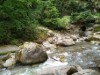 Billede 37