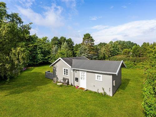 Fritidshus - 5 personer -  - Pimpernelvej - Marielyst - 4873 - Væggerløse