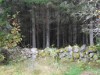Bilde 11 - Utsikt