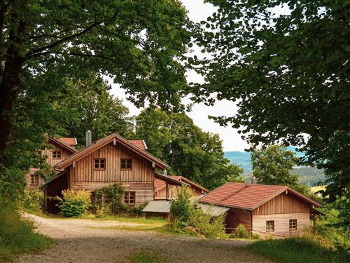 Sommerhus - 5 personer -  - Altnußberg/Dorfstr. - 94244 - Geiersthal