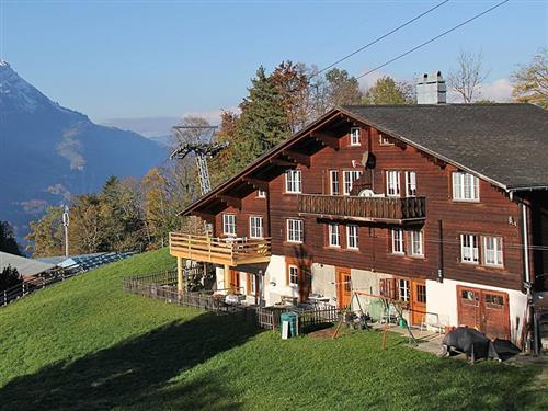 Holiday Home/Apartment - 6 persons -  - Bärengaden - 6084 - Hasliberg Wasserwendi