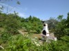 Image 20 - Outside