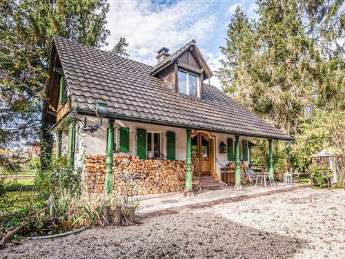 Sommerhus - 2 personer -  - Rue de Bâle - 68220 - Knoeringue