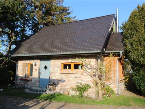 Holiday home - 4 persons -  - Rieckstraße - 17459 - Zempin