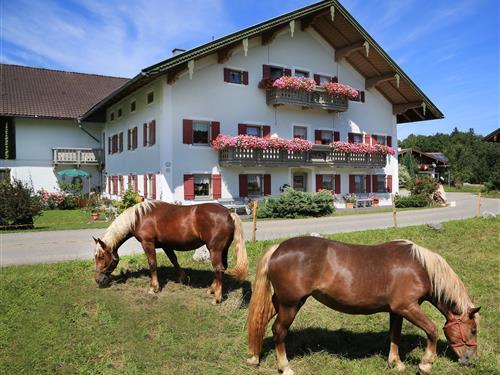 Ferienhaus - 5 Personen -  - Heutauer Straße - 83313 - Siegsdorf