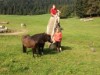 Bild 23