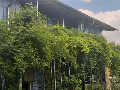 Ferielejlighed - 4 personer -  - Am Steinbruch - 87534 - Oberstaufen