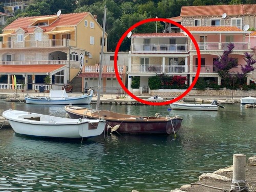Holiday apartment - 4 persons -  - Gršcica Vela - 20271 - Blato