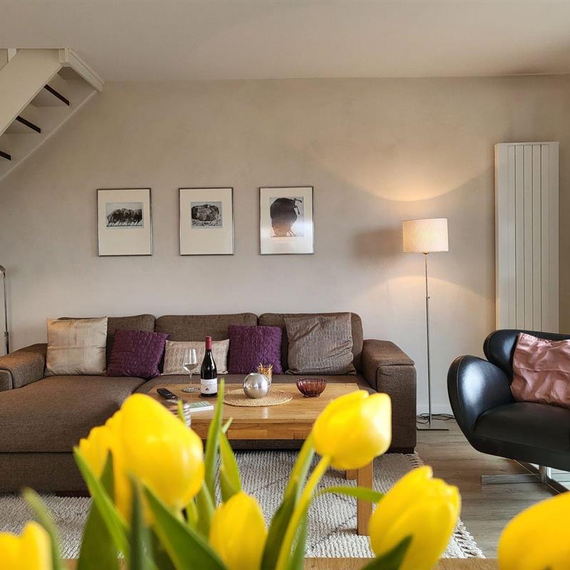 Ferielejlighed - 4 personer -  - Blanker-Hans-Weg - 25826 - St Peter-Ording