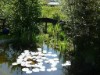 Bilde 3