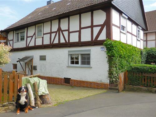 Ferielejlighed - 2 personer -  - 34621 - Frielendorf-Leuderode