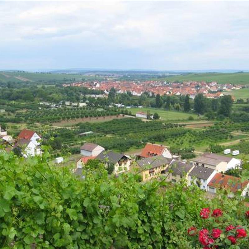 Ferielejlighed - 8 personer -  - Hallburger Weg - 97334 - Nordheim Am Main