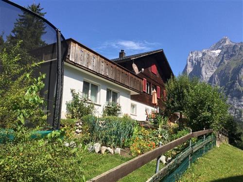Ferielejlighed - 2 personer -  - Grindelwald - 3818