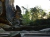 Bild 22