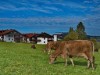 Bild 30