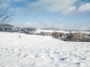 Bild 40 - Ude