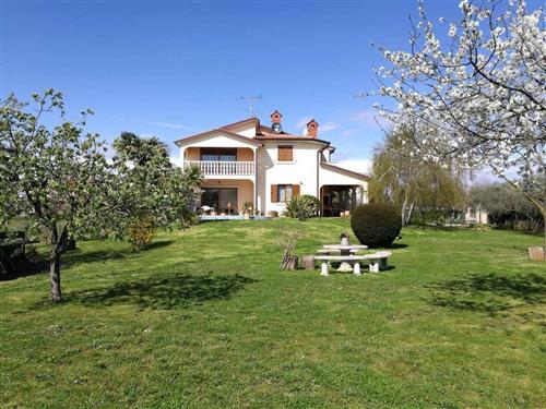 Ferielejlighed - 4 personer -  - Umag - 52470