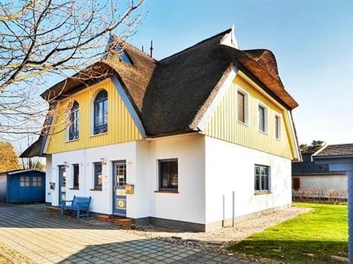 Sommerhus - 6 personer -  - Am Bahndamm - 18374 - Ostseeheilbad Zingst