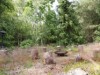 Bild 21 - Ude