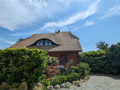 Ferielejlighed - 2 personer -  - Auf dem Ende - 18375 - Born